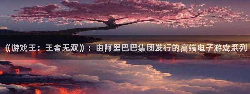 亿万28官网注册平台怎么样：《游戏王：王者无双》：由阿里巴巴集团发行的高端电子游戏系列