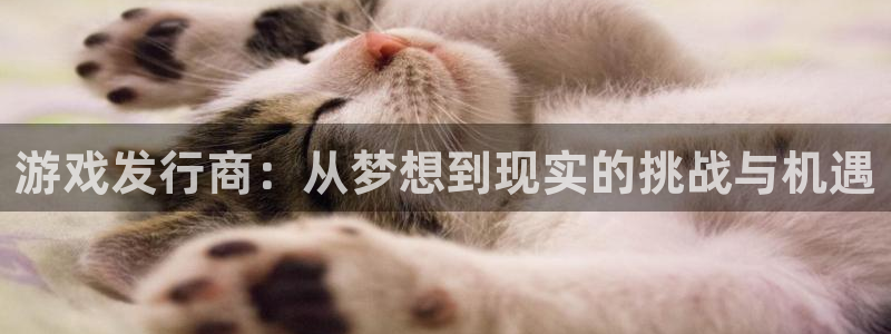 亿万28子文化创意有限公司：游戏发行商：从梦想到现实的挑战与机遇