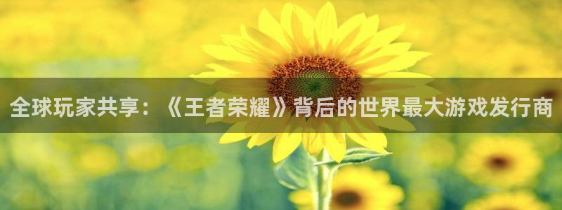 亿万28防水的质量怎么样：全球玩家共享：《王者荣耀》背后的世界最大游戏发行商