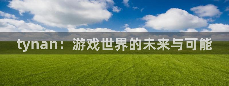 东莞亿万28信息科技有限公司：tynan：游戏世界的未来与可能