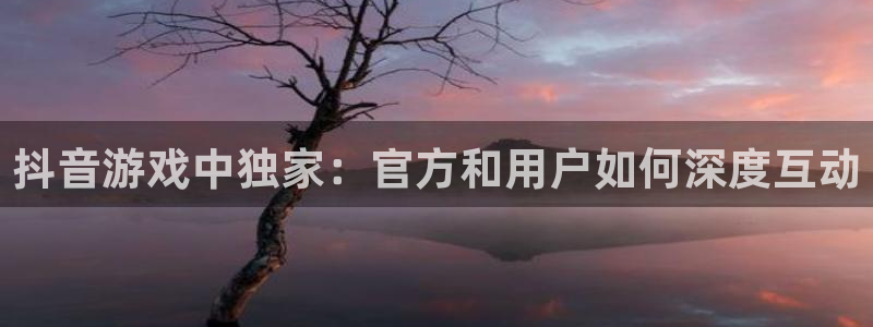 亿万28子书店：抖音游戏中独家：官方和用户如何深度互动