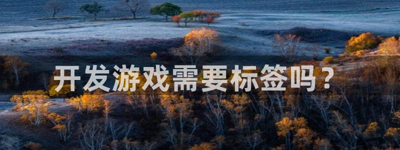 亿万28红酒怎么样：开发游戏需要标签吗？