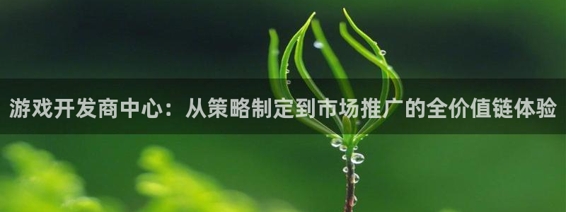 亿万28官网客服服务电话：游戏开发商中心：从策略制定到市场推广的全价值链体验