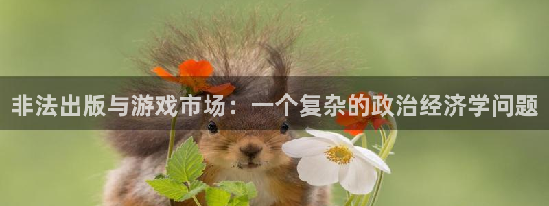 亿万28官网代理开号怎么开：非法出版与游戏市场：一个复杂的政治经济学问题