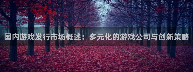 亿万28官网客服电话：国内游戏发行市场概述：多元化的游戏公司与创新策略