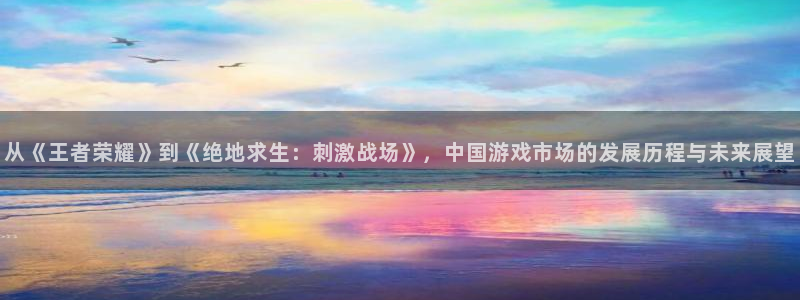亿万28子经理人：从《王者荣耀》到《绝地求生：刺激战场》，中国游戏市场的发展历程与未来展望