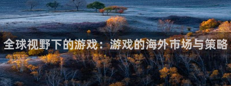 亿万28官网平台代理条件如何：全球视野下的游戏：游戏的海外市场与策略