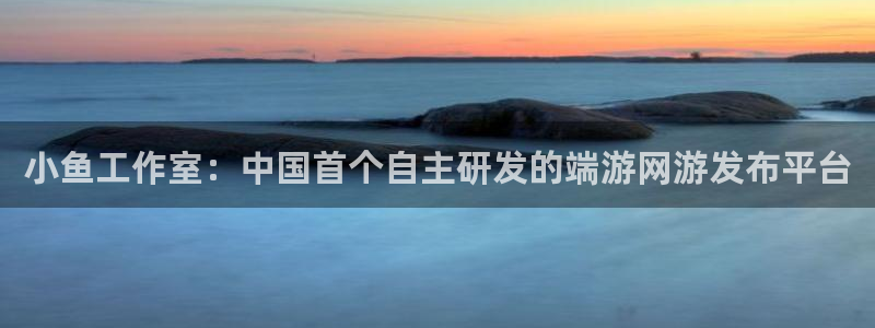 顺德亿万28电商：小鱼工作室：中国首个自主研发的端游网游发布平台