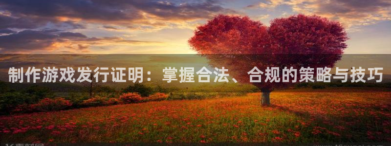 广州亿万28投资管理顾问有限公司：制作游戏发行证明：掌握合法、合规的策略与技巧