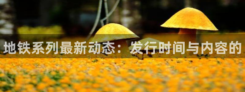 法国亿万28lvnces是奢侈品吗