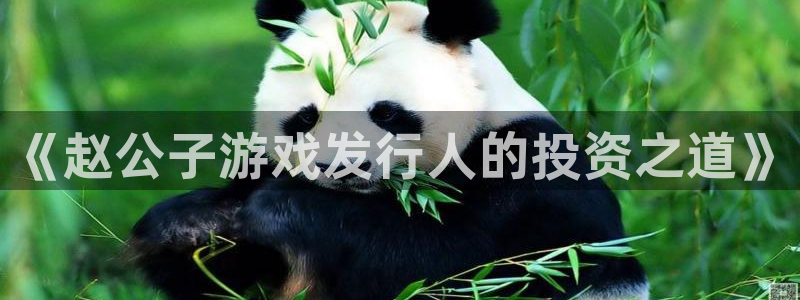 亿万28官网登录注册账号安全吗是真的吗：《赵公子游戏发行人的投资之道》