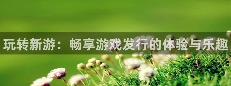 法国亿万28：玩转新游：畅享游戏发行的体验与乐趣