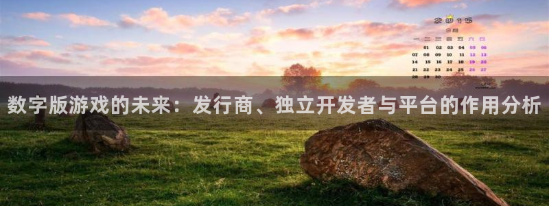 亿万28官网招商主管：数字版游戏的未来：发行商、独立开发者与平台的作用分析