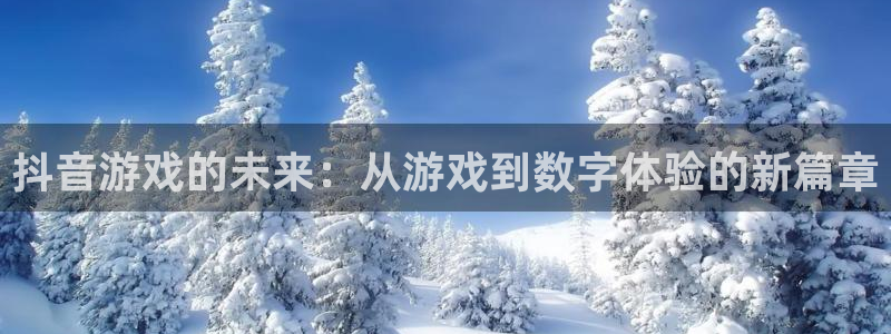 亿万28防水是几线品牌：抖音游戏的未来：从游戏到数字体验的新篇章