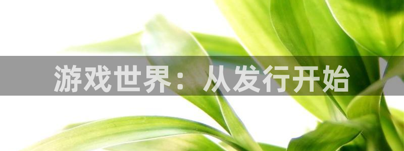 亿万28男装品牌：游戏世界：从发行开始