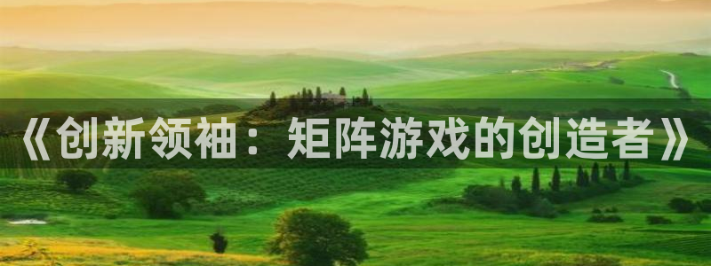 亿万28官网的奇趣腾讯是真的吗知乎：《创新领袖：矩阵游戏的创造者》