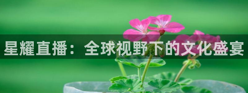 飞速直播nba体育直播：星耀直播：全球视野下的文化盛宴