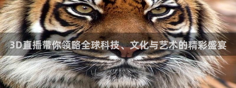 飞速 直播：3D直播带你领略全球科技、文化与艺术的精彩盛宴