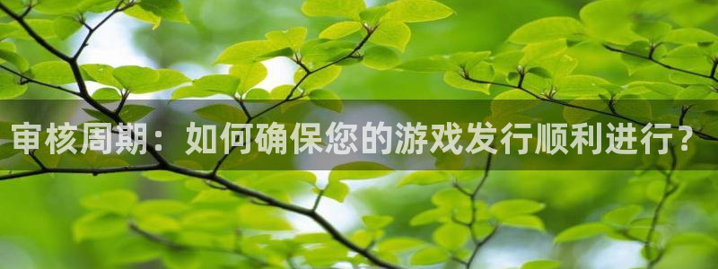 亿万28涂料(北京)有限公司：审核周期：如何确保您的游戏发行顺利进行？